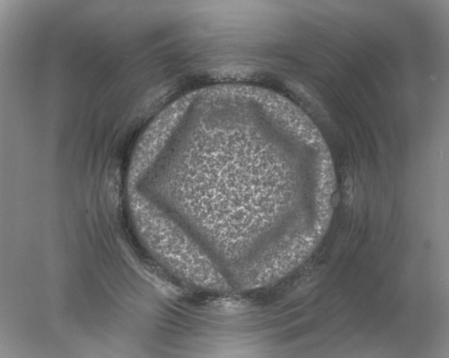 X0000078020498200611171916