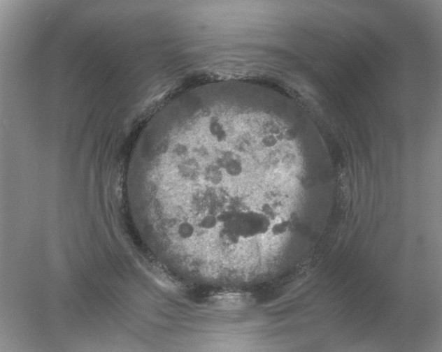 X0000078020499200611171916