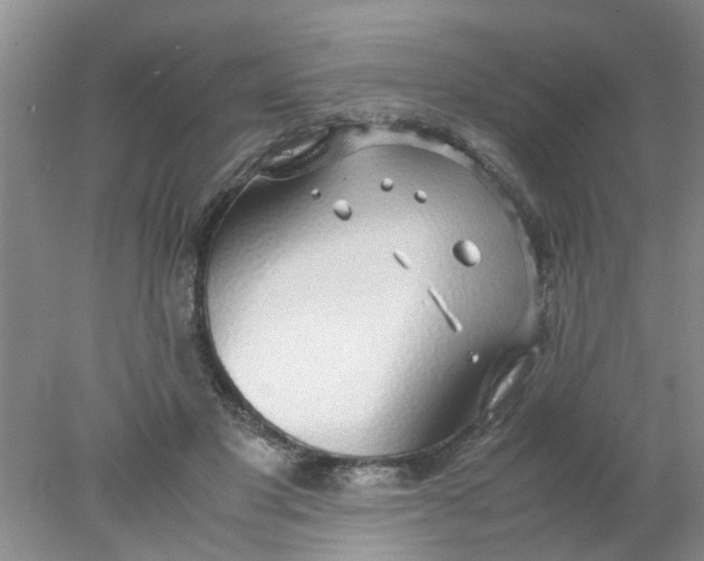 X0000078020501200611171916