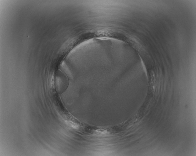 X0000078020502200611171916