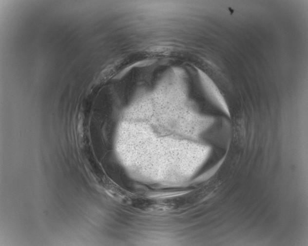 X0000078020504200611171916