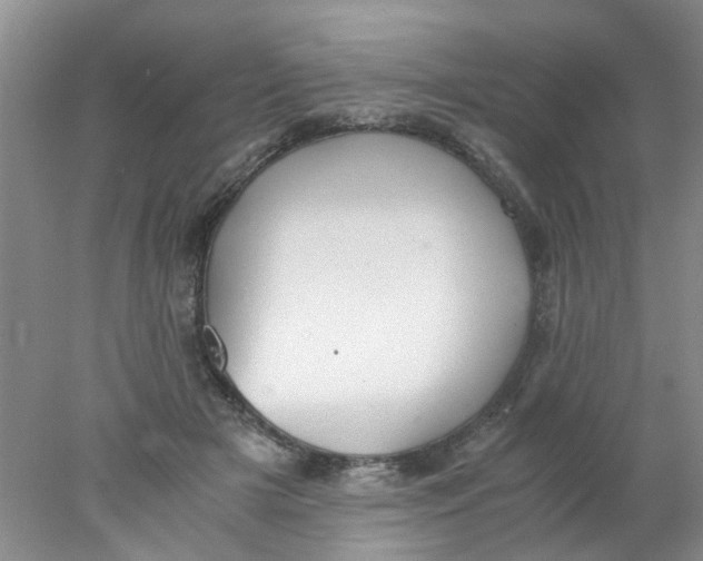 X0000078020505200611171916