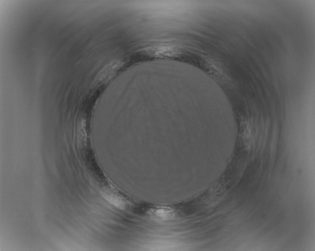 X0000078020506200611171916