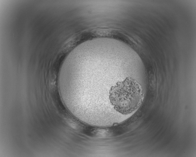 X0000078020507200611171916