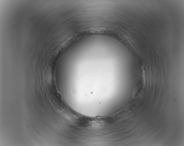 X0000078020508200611171916