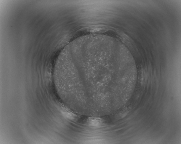 X0000078020510200611171916