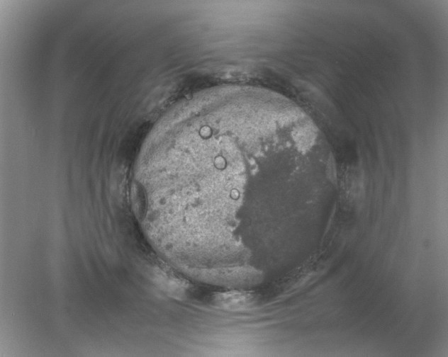 X0000078020511200611171916