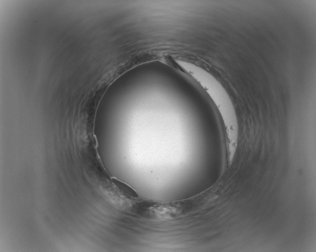 X0000078020512200611171916