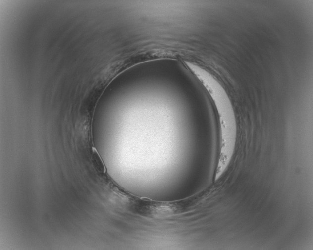 X0000078020513200611171916