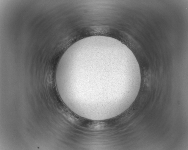 X0000078020514200611171916