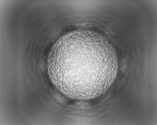 X0000078020515200611171916