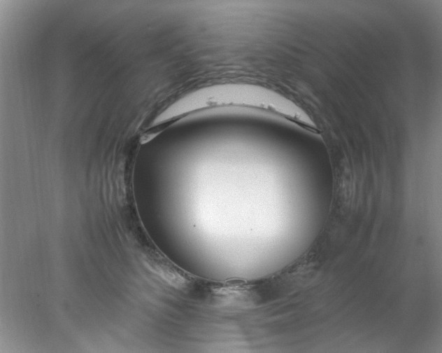 X0000078020516200611171916