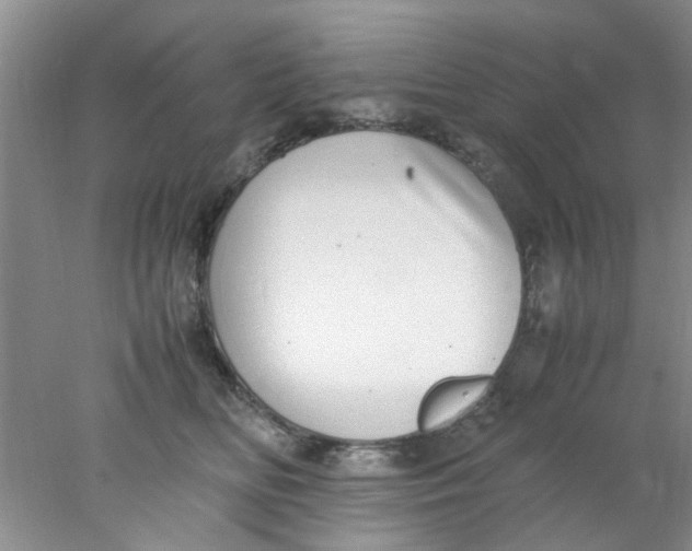 X0000078020518200611171916