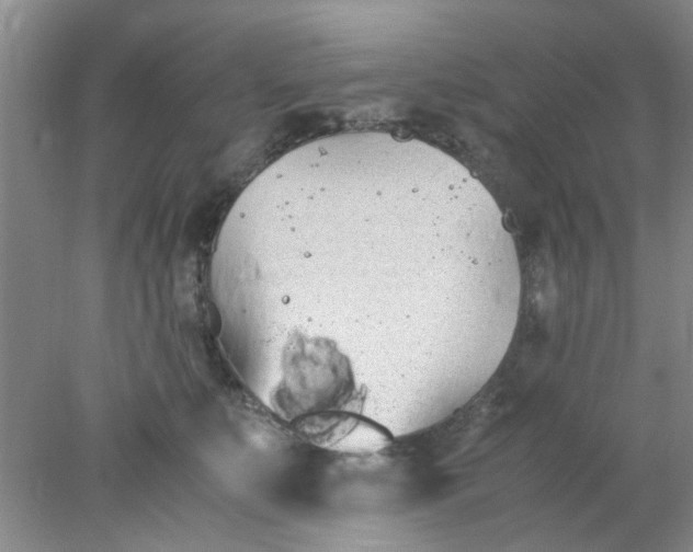 X0000078020519200611171916