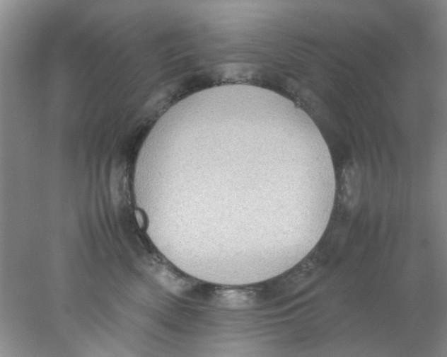 X0000078020522200611171916