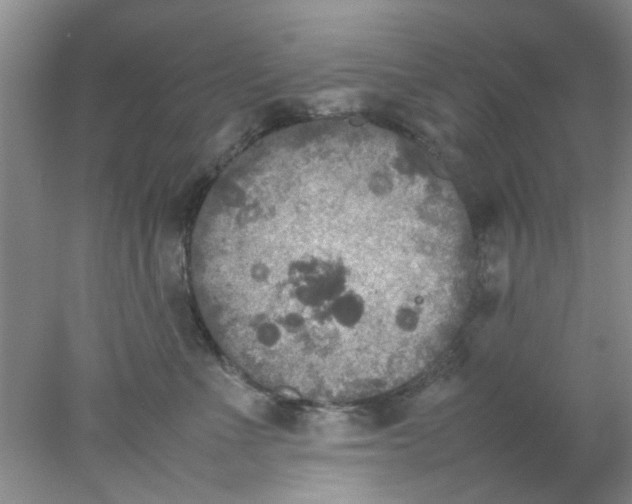 X0000078020523200611171916