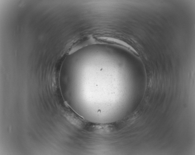 X0000078020524200611171916