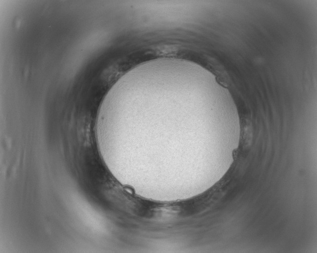 X0000078020525200611171916