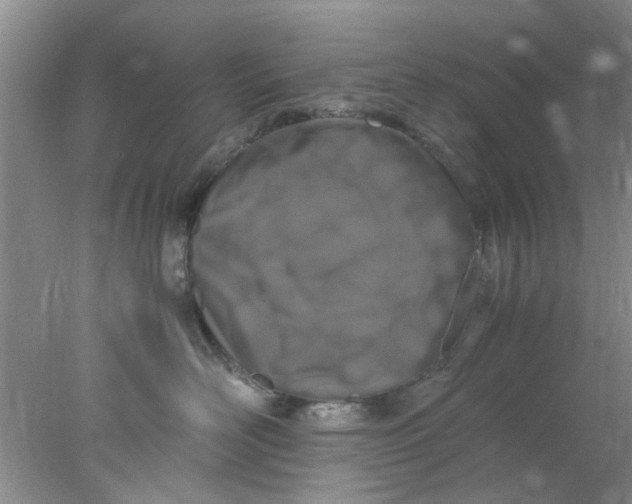 X0000078020526200611171916