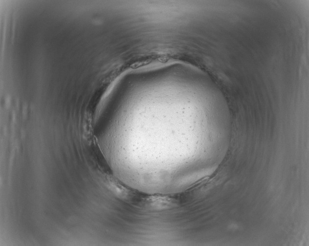 X0000078020528200611171916