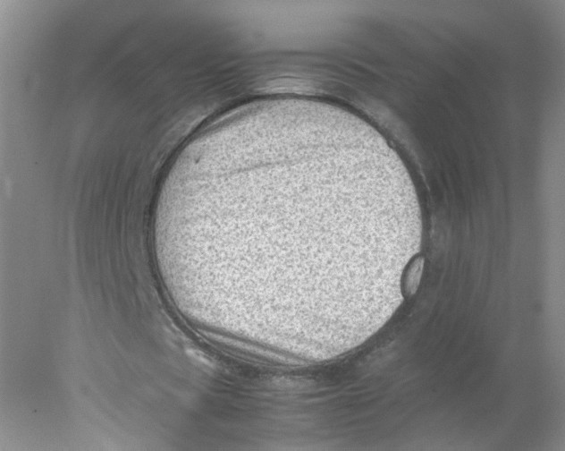 X0000078020529200611171915