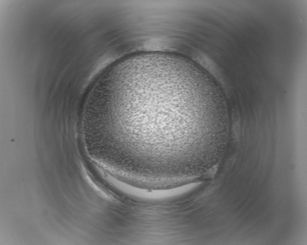 X0000078020530200611171915