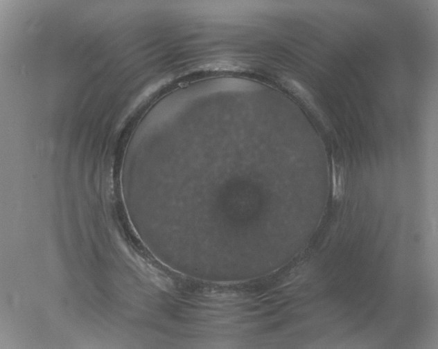 X0000078020531200611171915