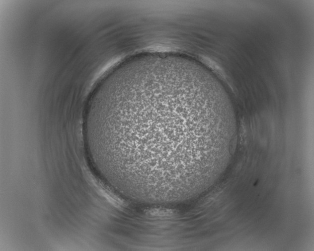 X0000078020535200611171915