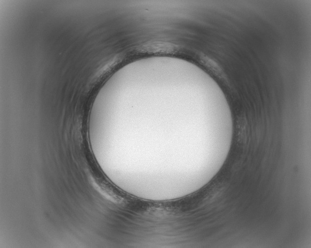 X0000078020538200611171915