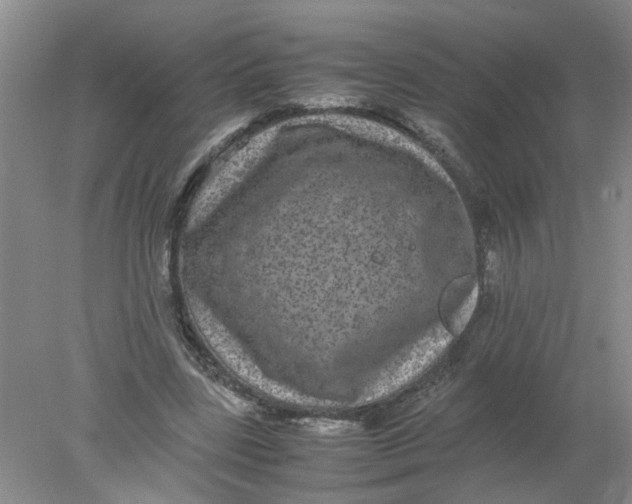 X0000078020539200611171915