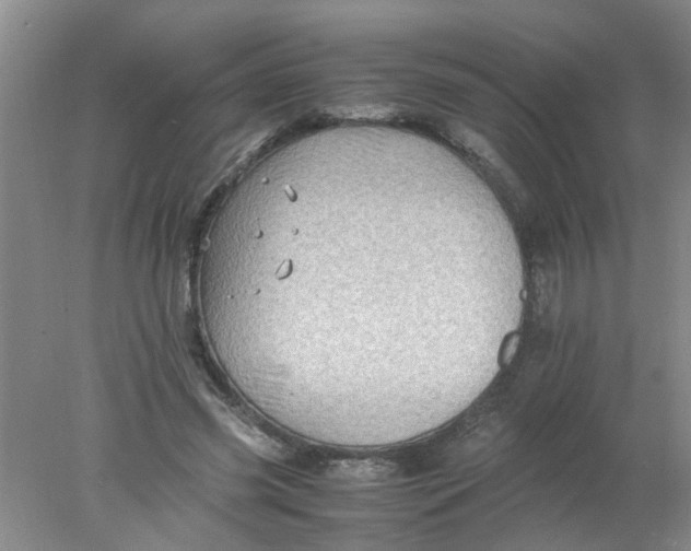 X0000078020541200611171915