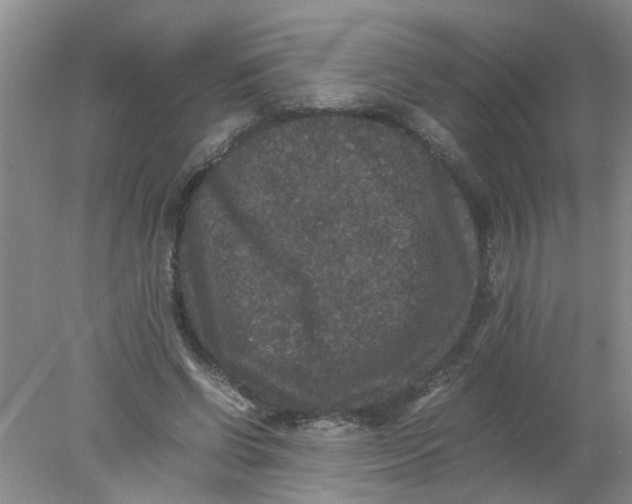 X0000078020542200611171915