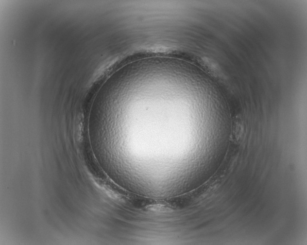 X0000078020544200611171915