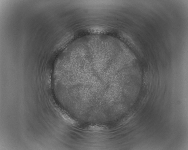 X0000078020545200611171915