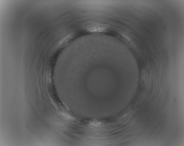 X0000078020547200611171915