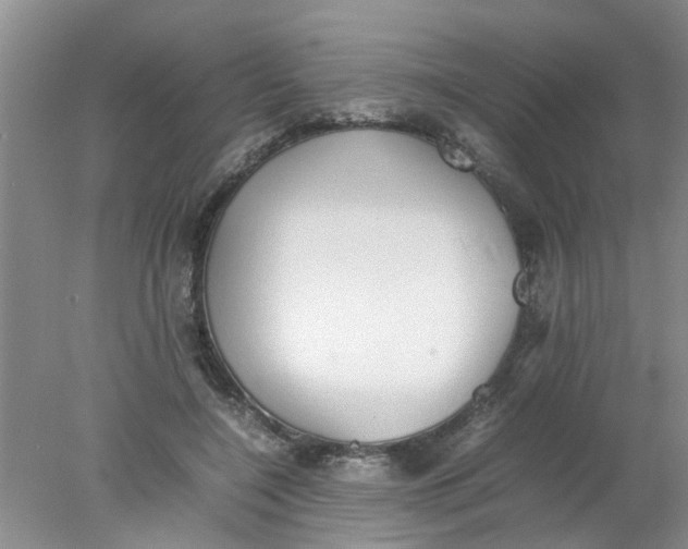 X0000078020548200611171915