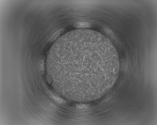 X0000078020549200611171915