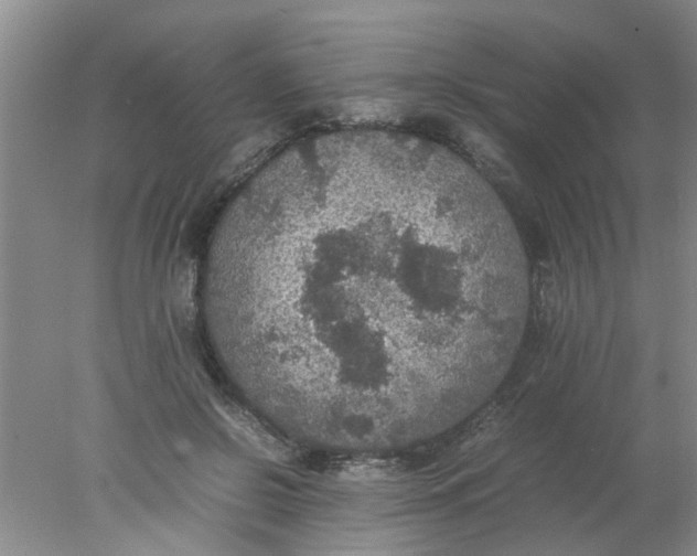 X0000078020550200611171915