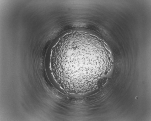 X0000078020551200611171916