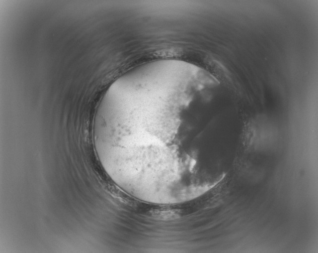 X0000078020553200611171916