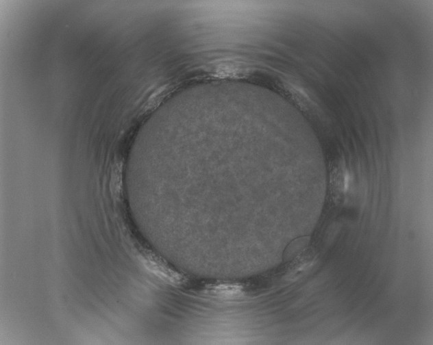 X0000078020554200611171916