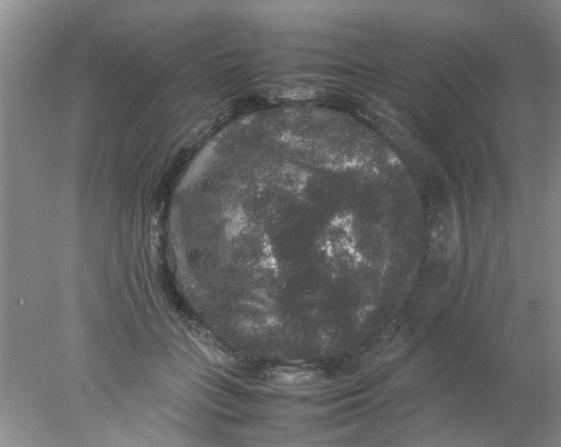 X0000078020555200611171916