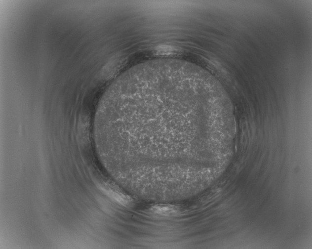 X0000078020557200611171916