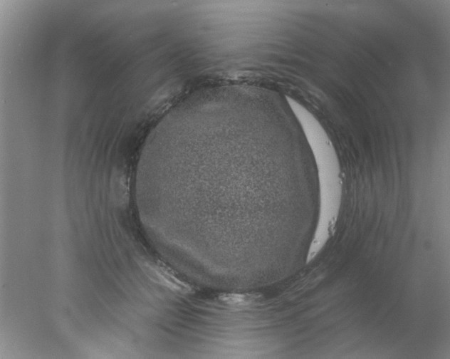 X0000078020558200611171916