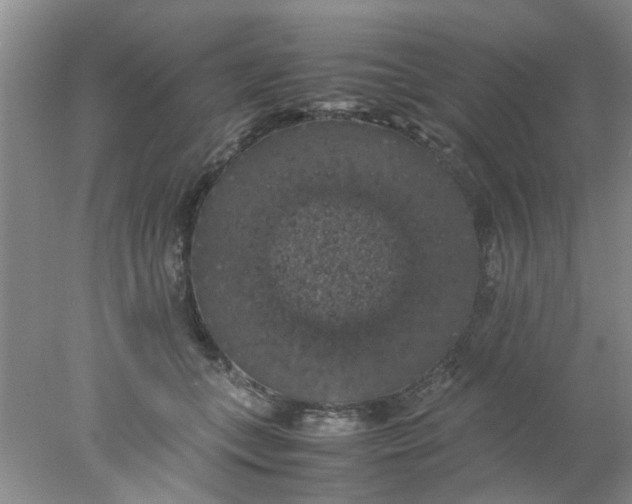 X0000078020559200611171916