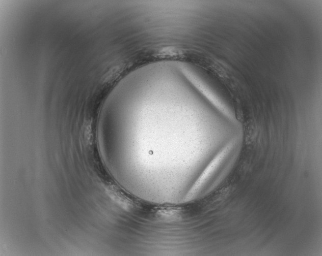 X0000078020560200611171916