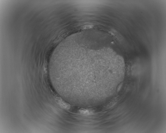 X0000078020561200611171916