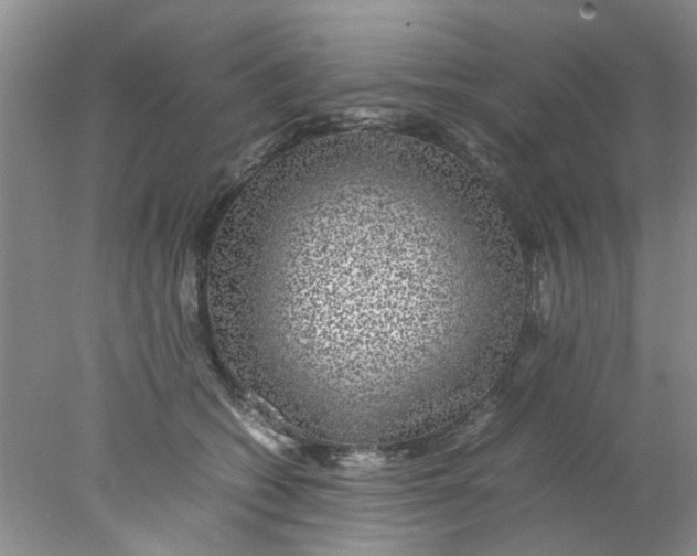 X0000078020562200611171916