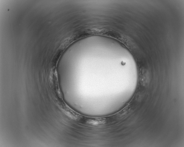 X0000078020563200611171916