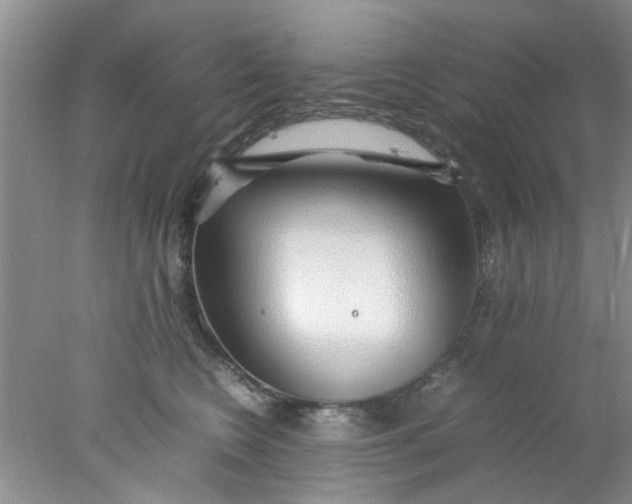 X0000078020566200611171916